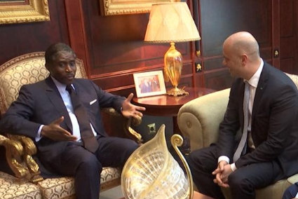 Rencontre entre le président de Guinée équatoriale Teodoro Obiang Nguema et Selim Bora, président du conglomérat turc Summa, en avril 2019.